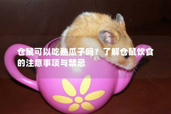仓鼠可以吃熟瓜子吗？了解仓鼠饮食的注意事项与禁忌