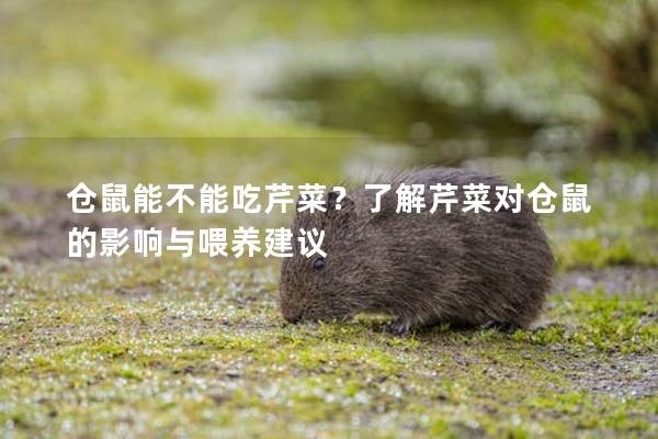仓鼠能不能吃芹菜？了解芹菜对仓鼠的影响与喂养建议