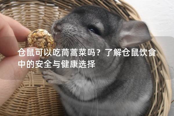 仓鼠可以吃茼蒿菜吗？了解仓鼠饮食中的安全与健康选择