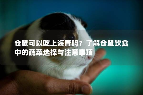 仓鼠可以吃上海青吗？了解仓鼠饮食中的蔬菜选择与注意事项