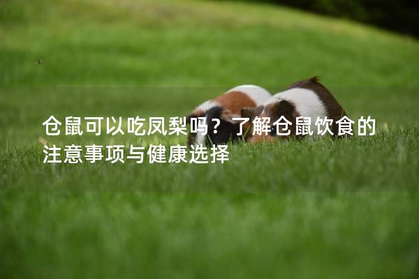 仓鼠可以吃凤梨吗？了解仓鼠饮食的注意事项与健康选择
