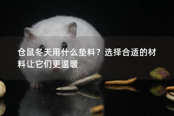 仓鼠冬天用什么垫料？选择合适的材料让它们更温暖