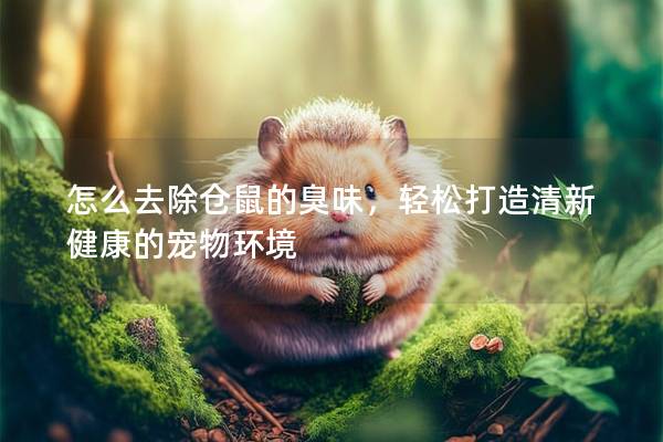 怎么去除仓鼠的臭味，轻松打造清新健康的宠物环境