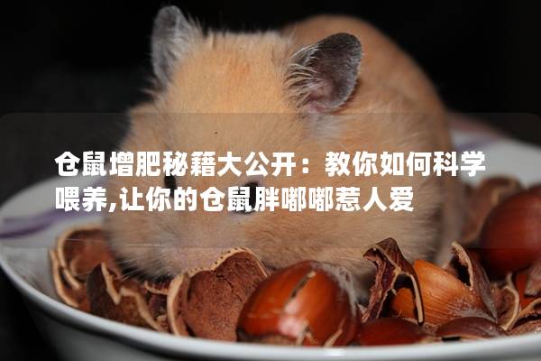 仓鼠增肥秘籍大公开：教你如何科学喂养,让你的仓鼠胖嘟嘟惹人爱