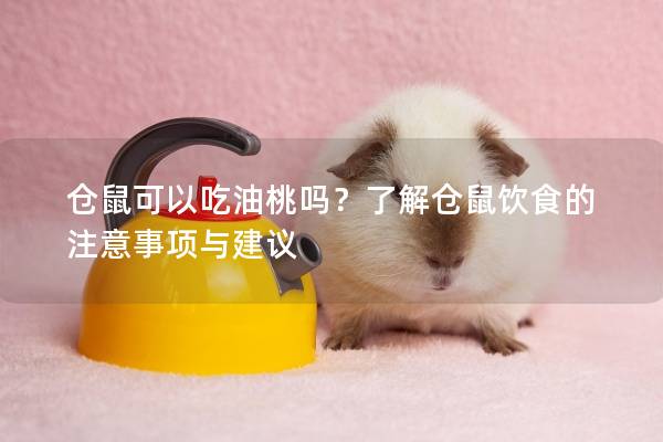 仓鼠可以吃油桃吗？了解仓鼠饮食的注意事项与建议