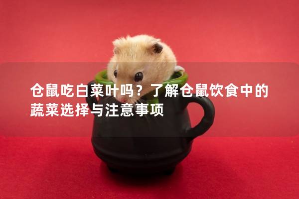 仓鼠吃白菜叶吗？了解仓鼠饮食中的蔬菜选择与注意事项