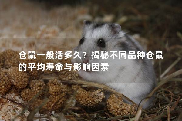 仓鼠一般活多久？揭秘不同品种仓鼠的平均寿命与影响因素