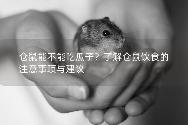 仓鼠能不能吃瓜子？了解仓鼠饮食的注意事项与建议