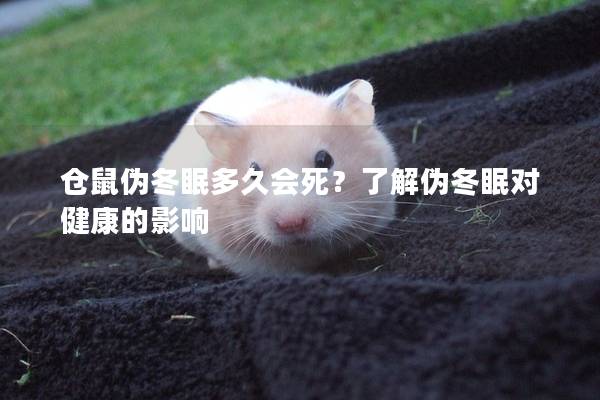 仓鼠伪冬眠多久会死？了解伪冬眠对健康的影响