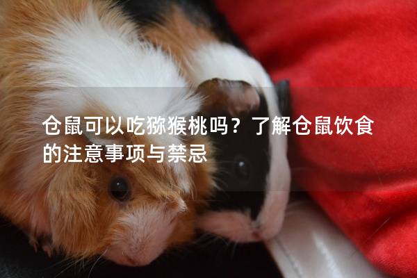 仓鼠可以吃猕猴桃吗？了解仓鼠饮食的注意事项与禁忌
