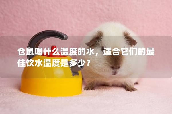 仓鼠喝什么温度的水，适合它们的最佳饮水温度是多少？