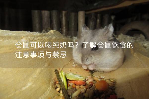 仓鼠可以喝纯奶吗？了解仓鼠饮食的注意事项与禁忌