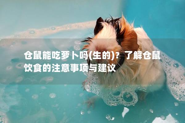 仓鼠能吃萝卜吗(生的)？了解仓鼠饮食的注意事项与建议