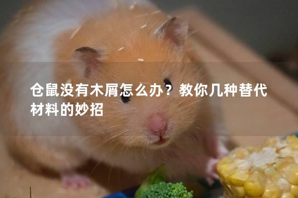 仓鼠没有木屑怎么办？教你几种替代材料的妙招