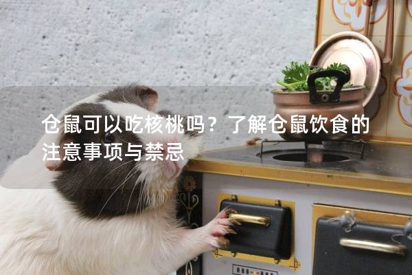 仓鼠可以吃核桃吗？了解仓鼠饮食的注意事项与禁忌