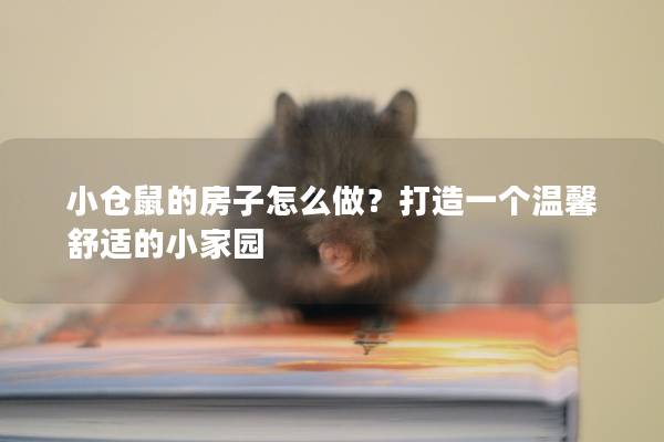 小仓鼠的房子怎么做？打造一个温馨舒适的小家园