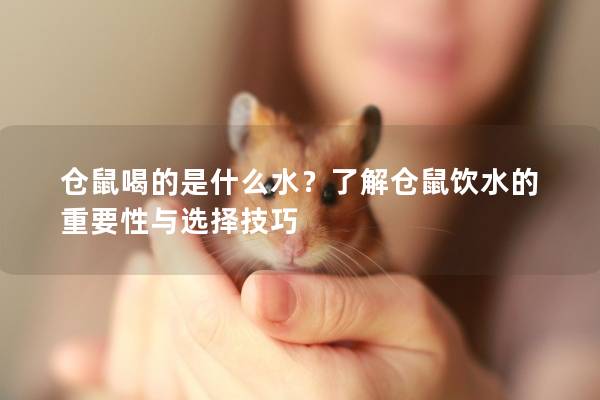 仓鼠喝的是什么水？了解仓鼠饮水的重要性与选择技巧