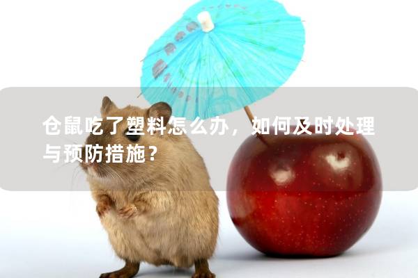 仓鼠吃了塑料怎么办，如何及时处理与预防措施？