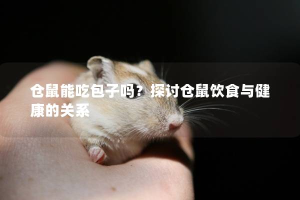 仓鼠能吃包子吗？探讨仓鼠饮食与健康的关系