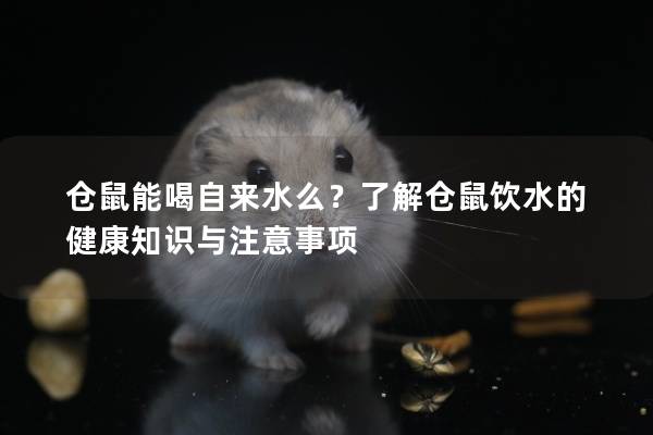 仓鼠能喝自来水么？了解仓鼠饮水的健康知识与注意事项