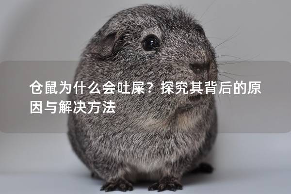 仓鼠为什么会吐屎？探究其背后的原因与解决方法