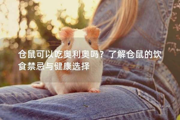 仓鼠可以吃奥利奥吗？了解仓鼠的饮食禁忌与健康选择