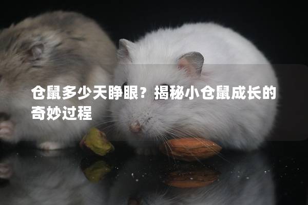仓鼠多少天睁眼？揭秘小仓鼠成长的奇妙过程