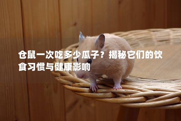 仓鼠一次吃多少瓜子？揭秘它们的饮食习惯与健康影响