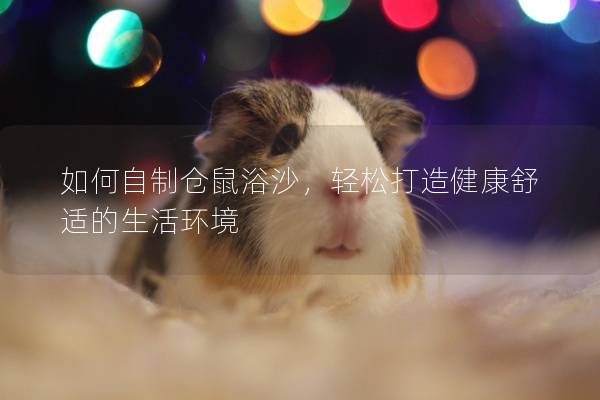 如何自制仓鼠浴沙，轻松打造健康舒适的生活环境