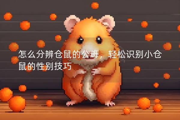 怎么分辨仓鼠的公母，轻松识别小仓鼠的性别技巧