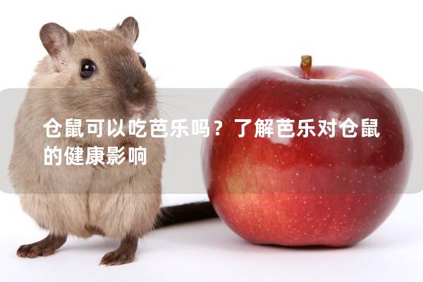 仓鼠可以吃芭乐吗？了解芭乐对仓鼠的健康影响