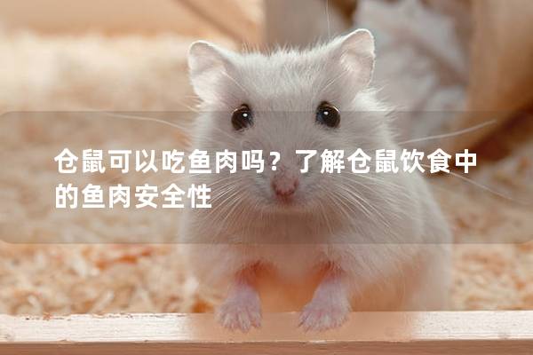 仓鼠可以吃鱼肉吗？了解仓鼠饮食中的鱼肉安全性