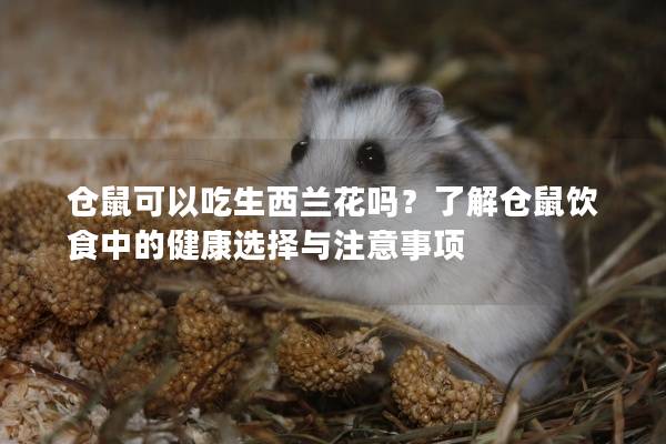 仓鼠可以吃生西兰花吗？了解仓鼠饮食中的健康选择与注意事项