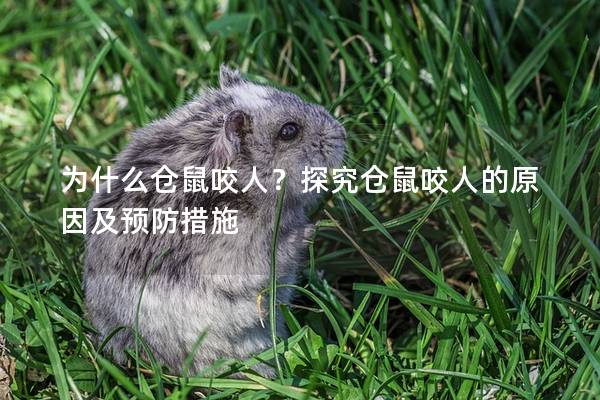 为什么仓鼠咬人？探究仓鼠咬人的原因及预防措施