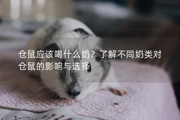 仓鼠应该喝什么奶？了解不同奶类对仓鼠的影响与选择