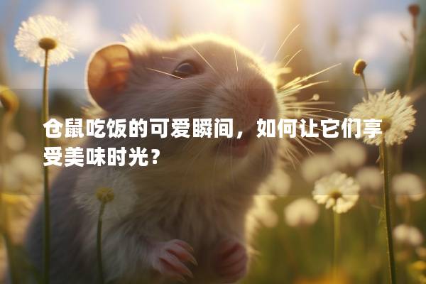 仓鼠吃饭的可爱瞬间，如何让它们享受美味时光？