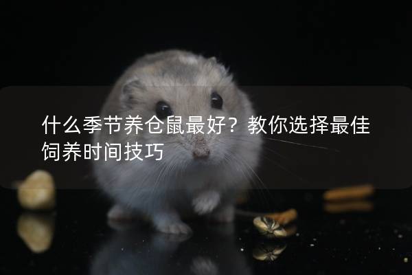什么季节养仓鼠最好？教你选择最佳饲养时间技巧