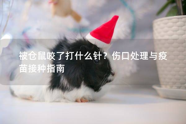 被仓鼠咬了打什么针？伤口处理与疫苗接种指南