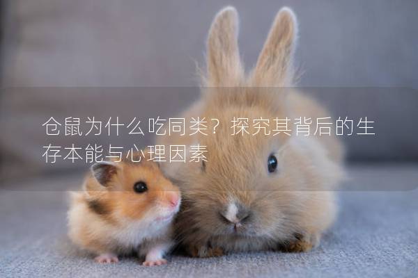 仓鼠为什么吃同类？探究其背后的生存本能与心理因素