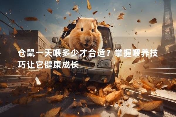 仓鼠一天喂多少才合适？掌握喂养技巧让它健康成长