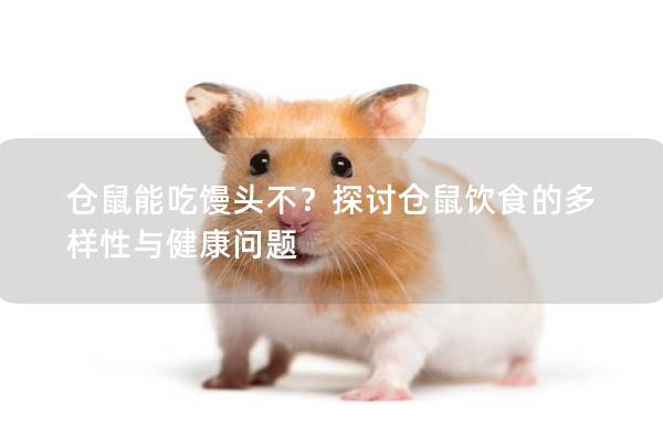 仓鼠能吃馒头不？探讨仓鼠饮食的多样性与健康问题