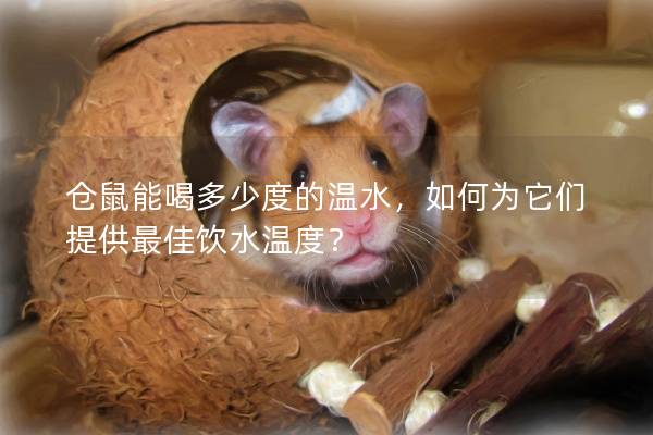 仓鼠能喝多少度的温水，如何为它们提供最佳饮水温度？