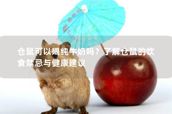 仓鼠可以喝纯牛奶吗？了解仓鼠的饮食禁忌与健康建议