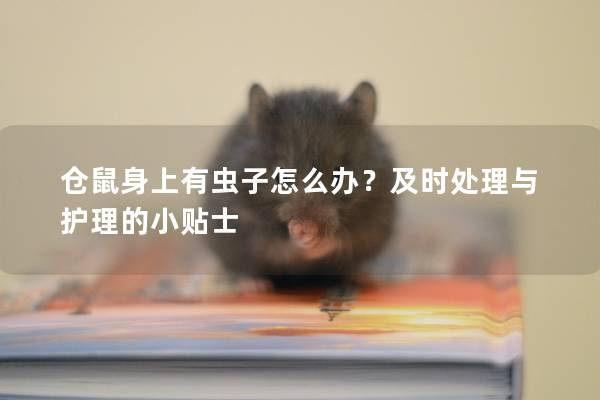 仓鼠身上有虫子怎么办？及时处理与护理的小贴士