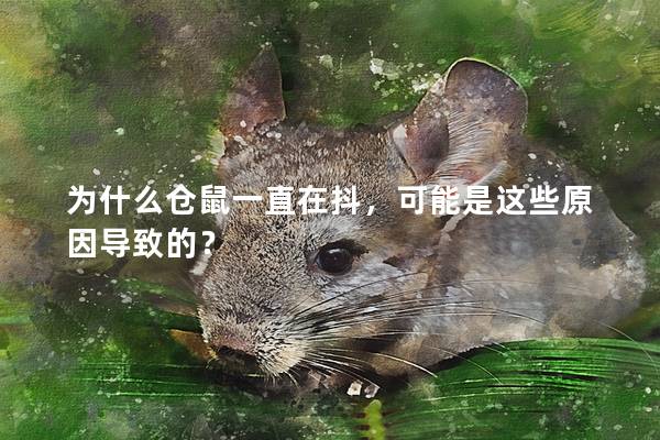 为什么仓鼠一直在抖，可能是这些原因导致的？