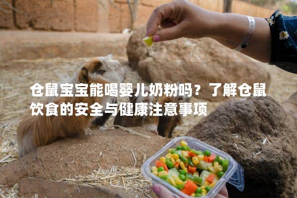 仓鼠宝宝能喝婴儿奶粉吗？了解仓鼠饮食的安全与健康注意事项