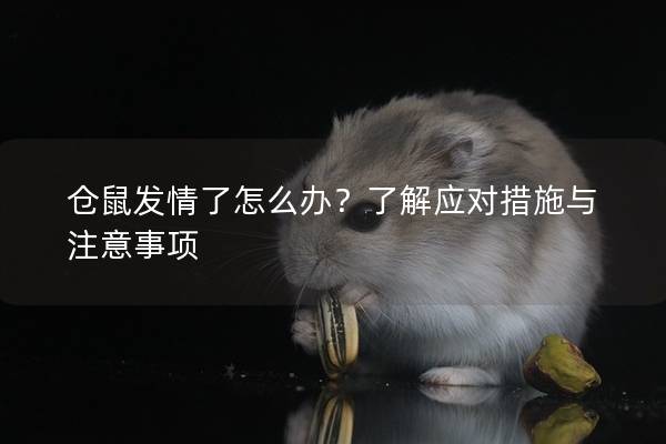 仓鼠发情了怎么办？了解应对措施与注意事项