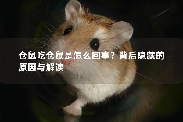 仓鼠吃仓鼠是怎么回事？背后隐藏的原因与解读