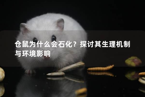 仓鼠为什么会石化？探讨其生理机制与环境影响