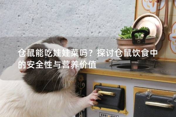 仓鼠能吃娃娃菜吗？探讨仓鼠饮食中的安全性与营养价值